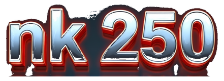 nk 250 logo
